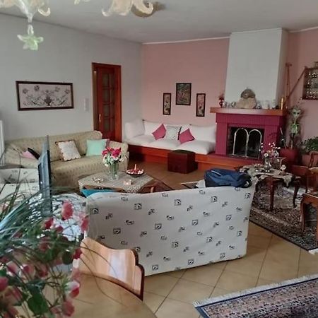 Διαμέρισμα Τριών Υπνοδωμάτιων. Ioannina Exterior foto